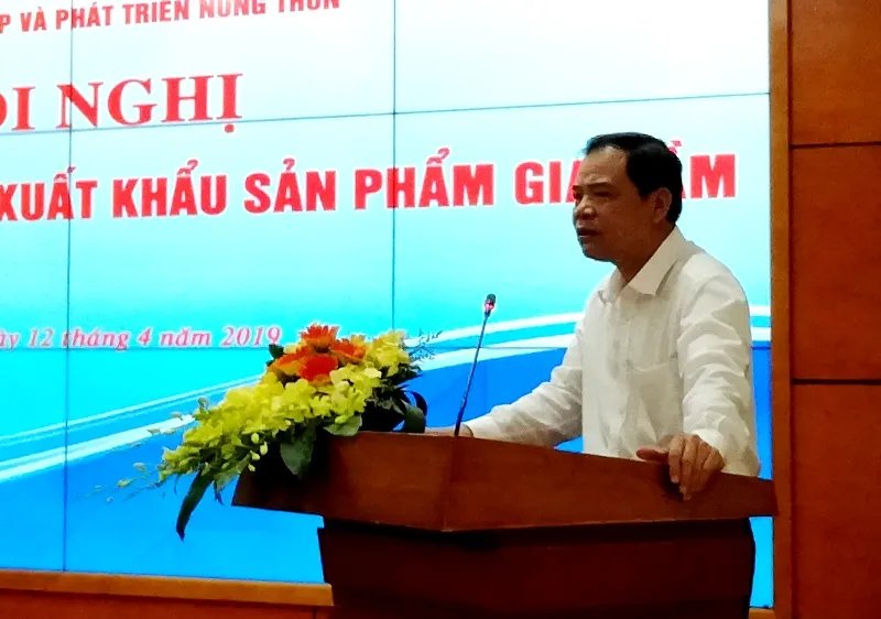 Nuôi gà để "bù đắp" heo bị dịch tả châu Phi