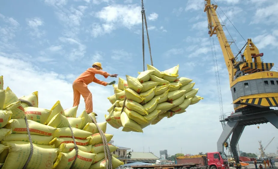 Điều tra các doanh nghiệp khai khống gạo để “giữ chỗ”