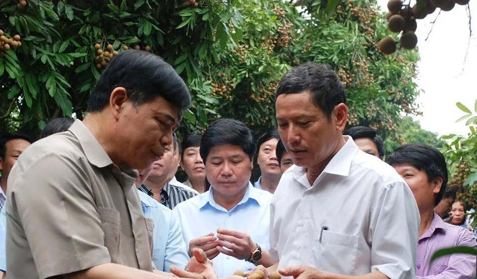 Gỡ khó để trái nhãn của Việt Nam dễ dàng xuất khẩu