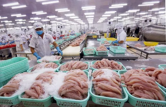 Trung Quốc tạm ngừng nhập hàng đông lạnh của Việt Nam