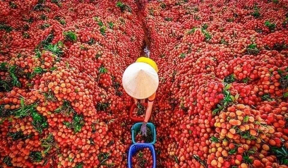 Vừa ngơi bão lại nắng nóng kéo dài nhiều ngày