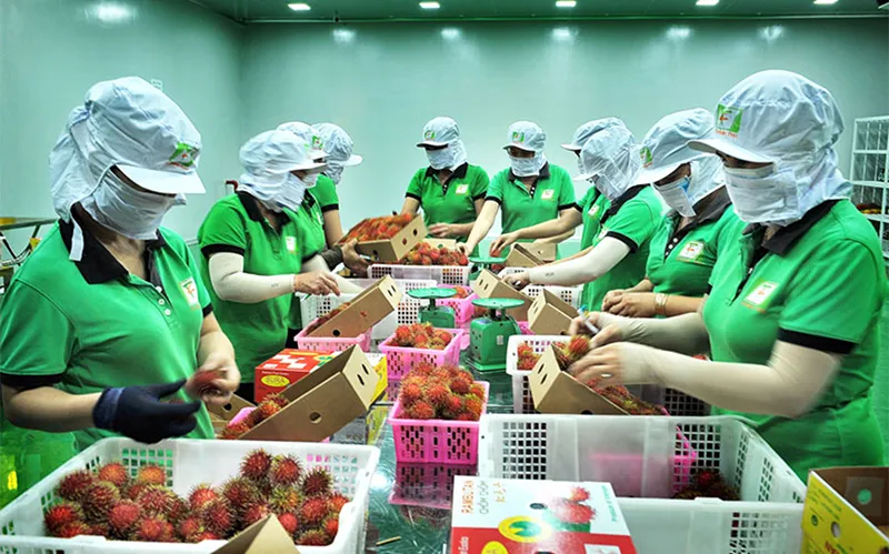 Thị trường Anh là “mỏ vàng” của nông sản Việt Nam