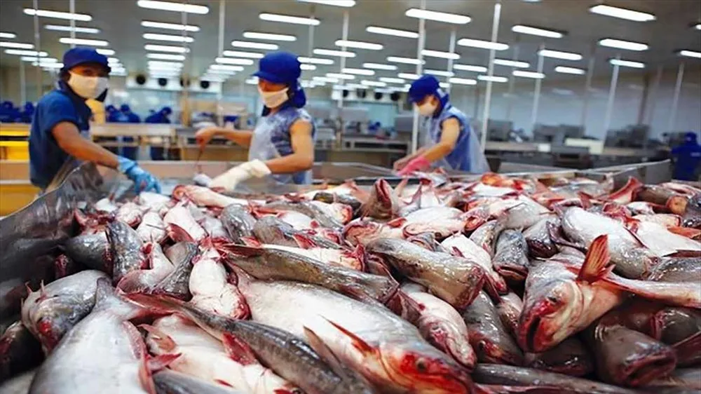 Thế giới đang cần nhập thủy sản Việt Nam, nhưng nhiều nhà máy lại đóng cửa