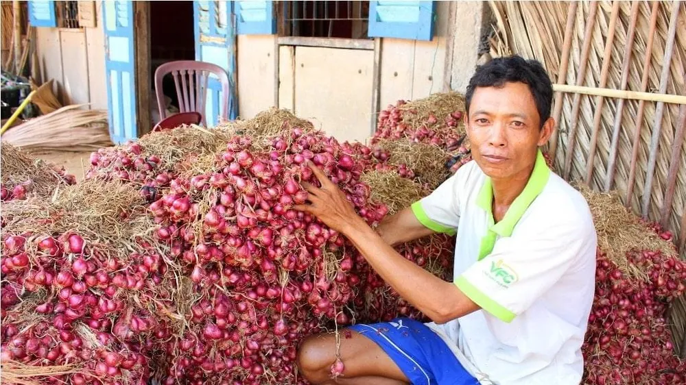 Nhiều nơi đang ùn ứ lượng lớn rau gia vị sau vụ “mì Hảo Hảo”