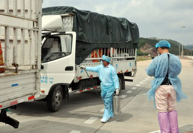 Trung Quốc tạm dừng nhập khẩu thanh long Việt Nam tại cửa khẩu Móng Cái