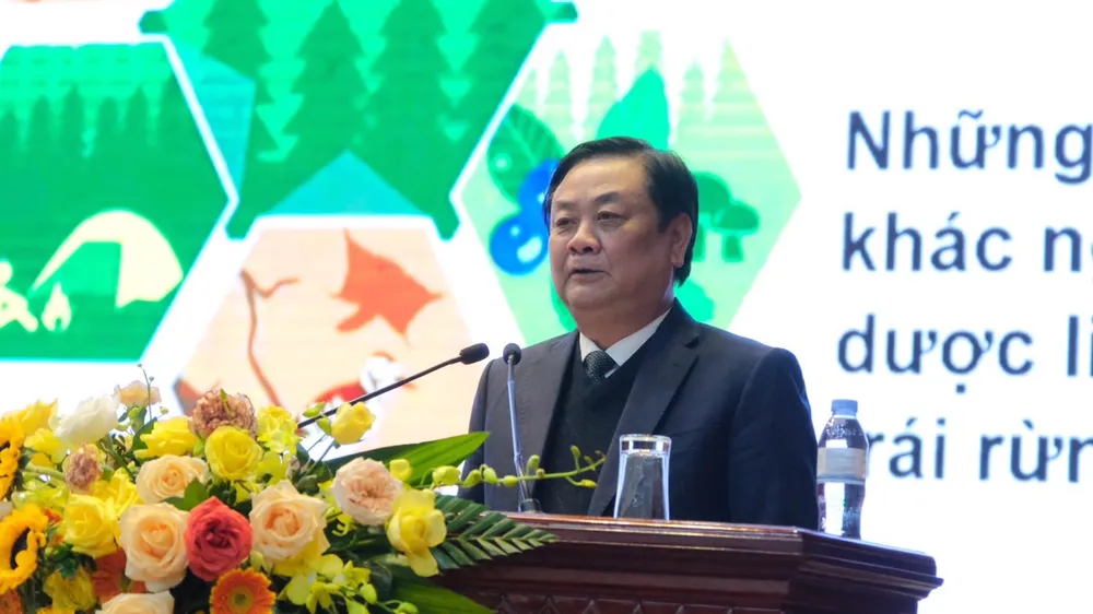 Người dân đang làm giàu nhờ phát triển các sản phẩm dưới tán rừng ngoài gỗ
