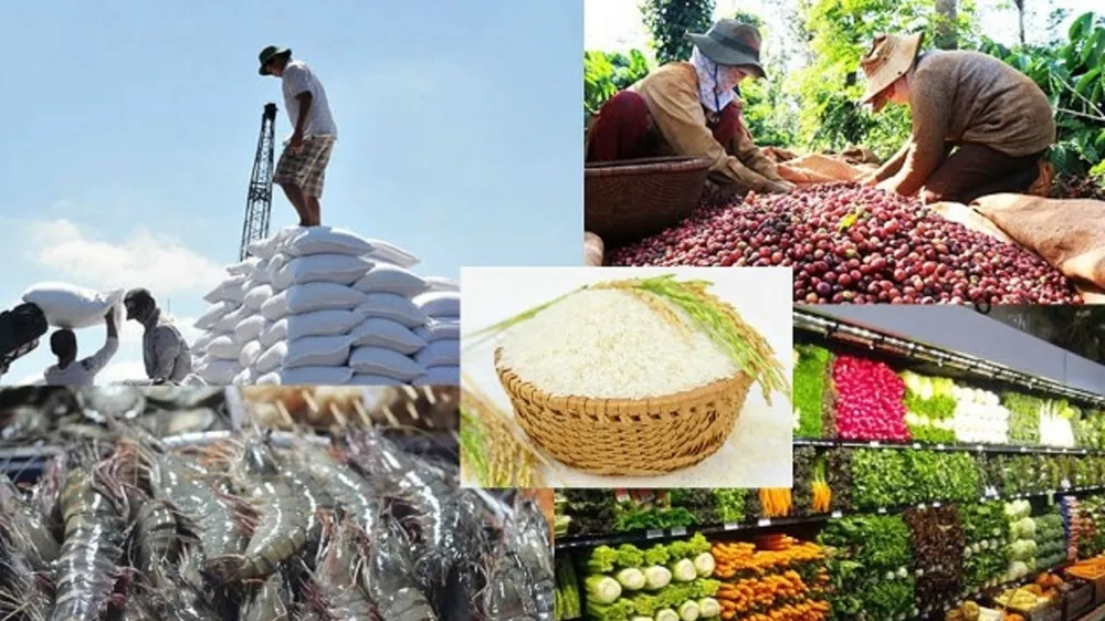 Nông lâm thủy sản xuất khẩu đạt 48,6 tỷ USD năm 2021