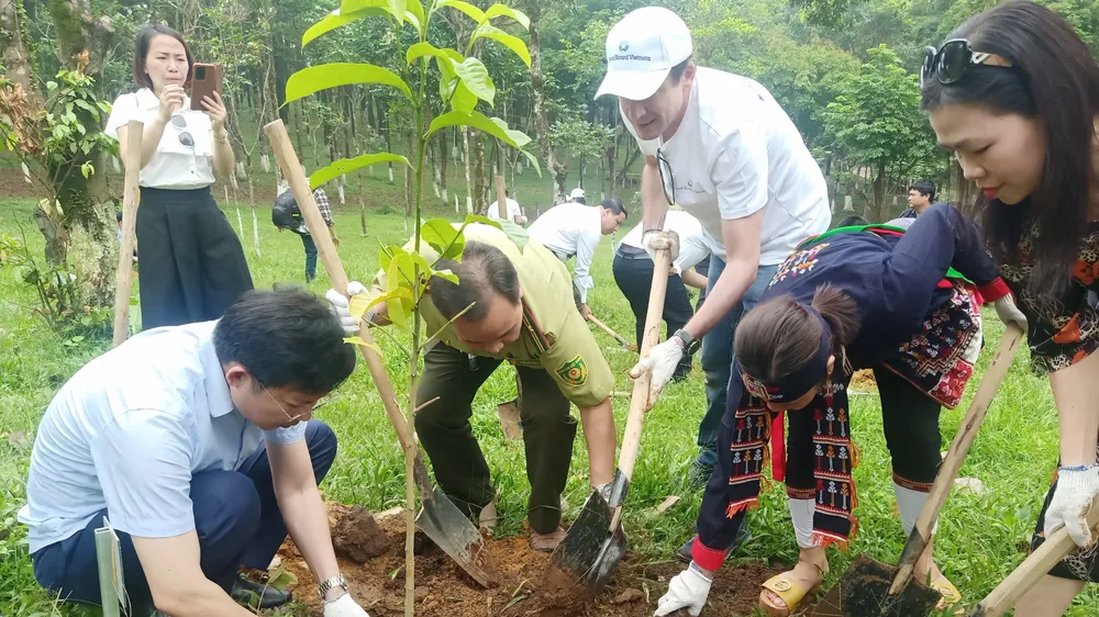Việt Nam trồng cây để chống sa mạc hóa
