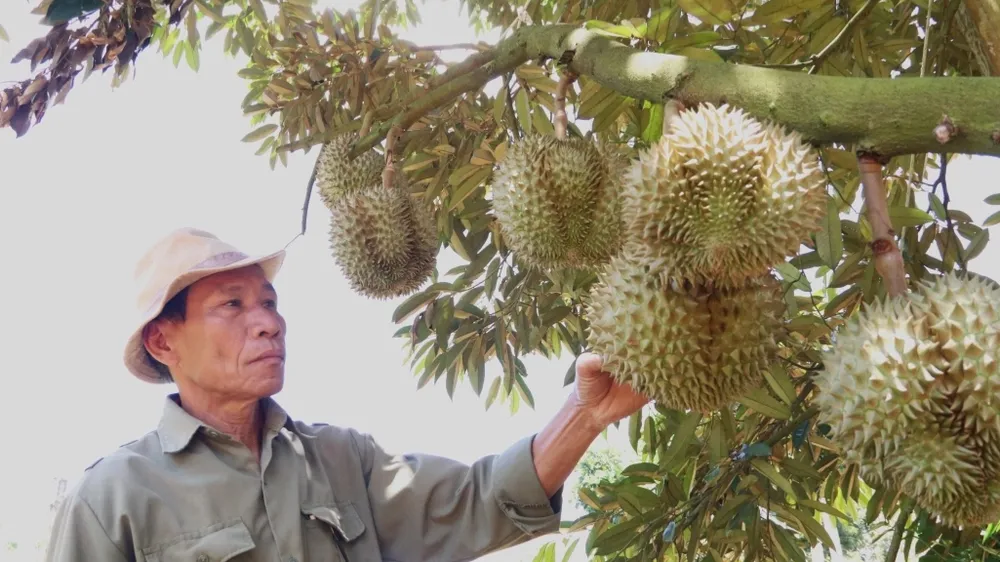 Bộ trưởng Lê Minh Hoan: “Phải siết chặt quản lý, không thể cứ mãi vuốt ve nông dân”