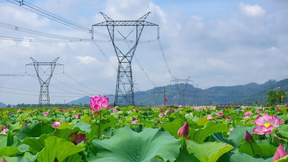 Chuyển dịch thiết bị để tiết kiệm điện 