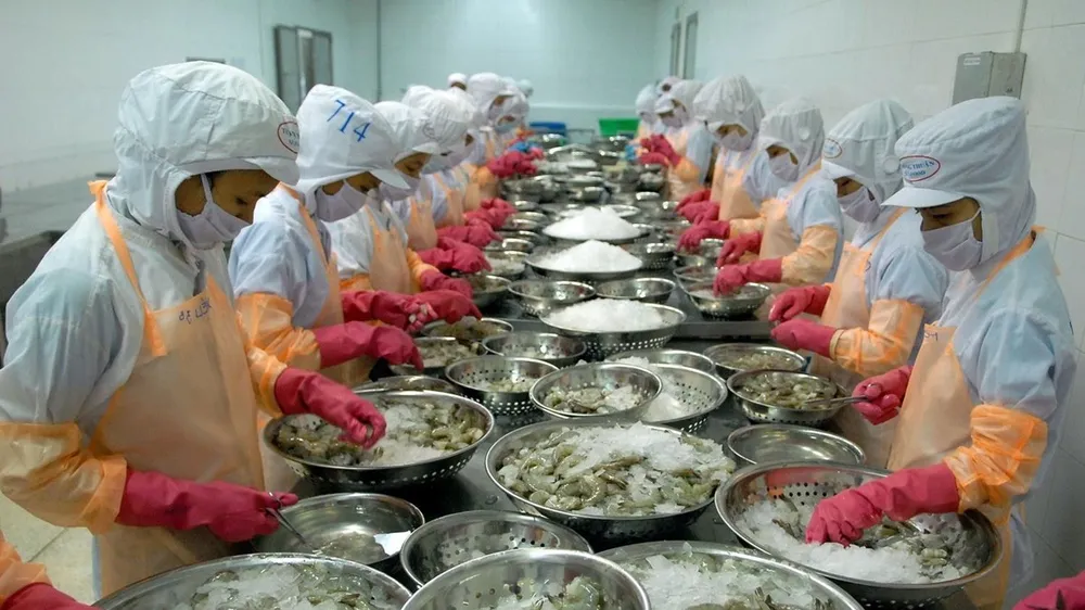 Tôm Việt Nam đối mặt nguy cơ "dịch chồng dịch"