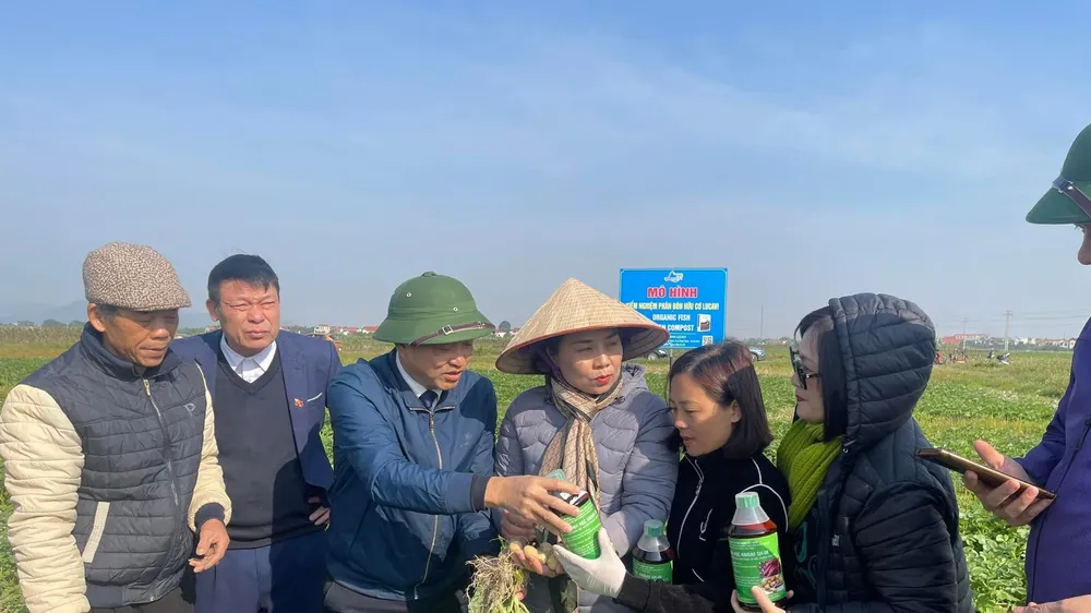 Phối hợp "3 nhà" để sản phẩm của nông dân được tiêu thụ hết