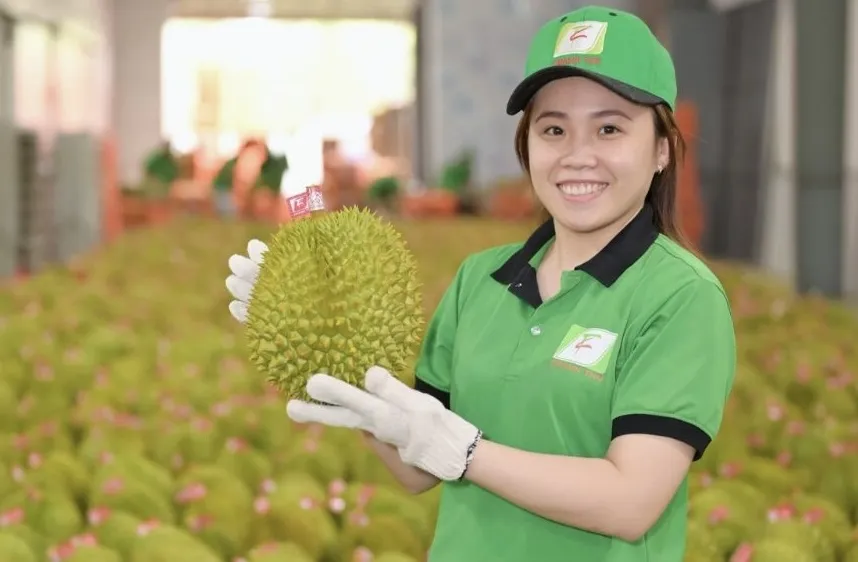 Sầu riêng trở thành mặt hàng nông sản xuất khẩu "hot" năm 2023 và đầy triển vọng trong năm 2024