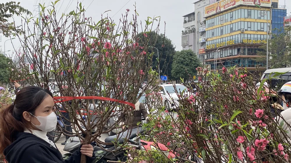 Chợ hoa chiều 30 tết, đào - quất ế