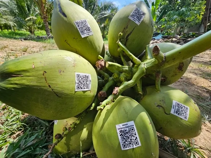 Dừa Việt Nam sang Trung Quốc, cá tầm Trung Quốc vào Việt Nam 