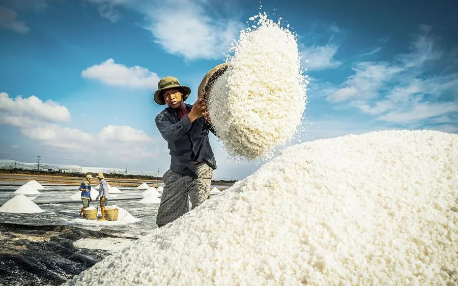 Festival nghề muối Việt Nam: “100 năm di sản nghề muối - đời người”