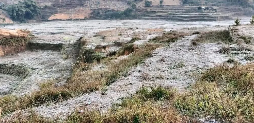 Rét chồng rét ở phía Bắc nước ta