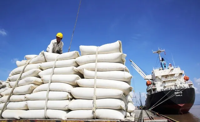 Giá gạo xuất khẩu của Việt Nam sụt giảm nghiêm trọng
