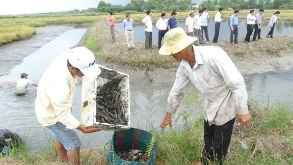Xâm nhập mặn gia tăng ở Nam bộ từ ngày 21 đến 31-1