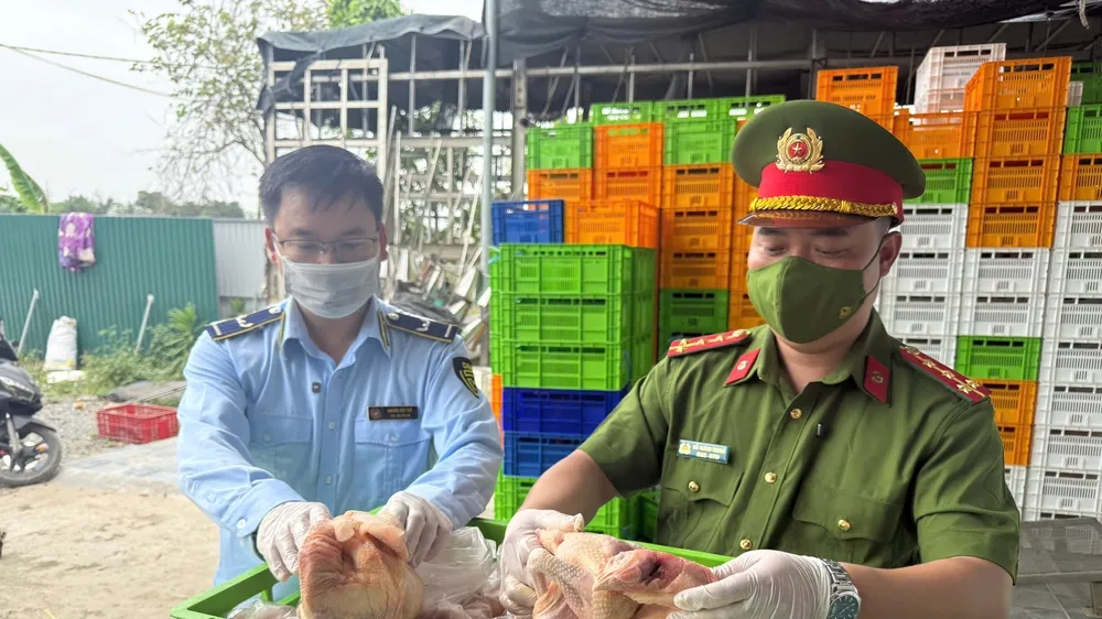 Tạm giữ hơn 18 tấn gà đông lạnh bốc mùi tại Hà Nội