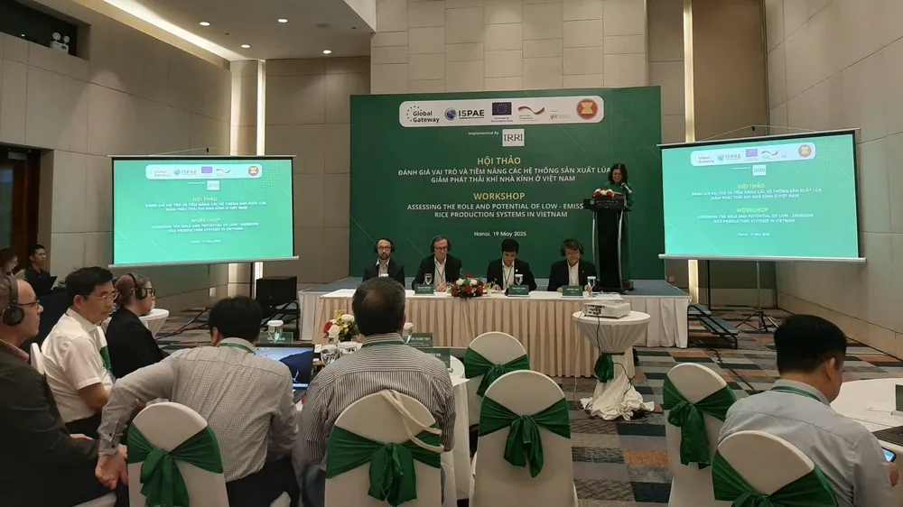 Việt Nam sẽ xuất khẩu gạo “low carbon” sang Nhật Bản