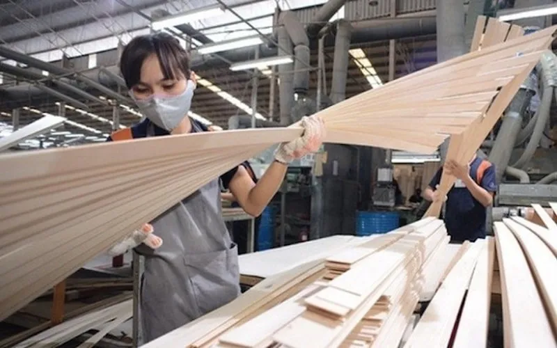 Hơn 130 công ty gỗ dán Việt Nam bị doanh nghiệp Hoa Kỳ đề nghị điều tra