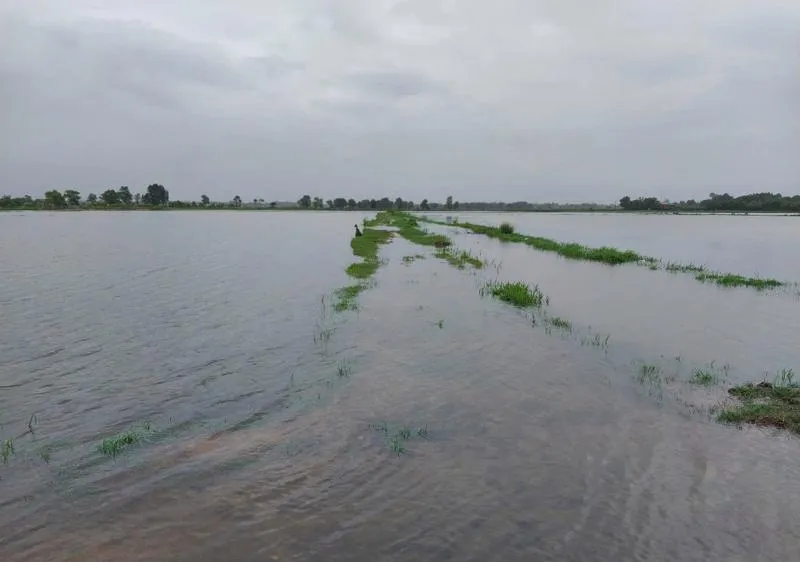 Bão số 1 gây ngập hơn 58.000ha lúa, hoa màu ở miền Trung