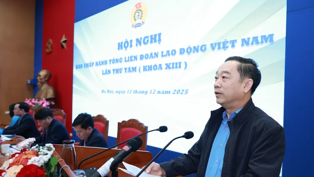Ông Lê Văn Hòa, Phó Chủ tịch LĐLĐ TPHCM phát biểu