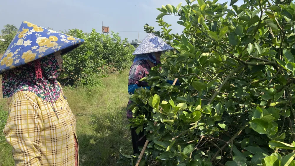 Miền Bắc sương mù về đêm và sáng, miền Nam ngày nắng