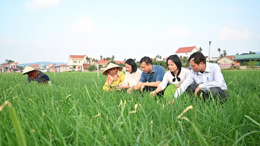 Chuẩn bị nguồn nông sản tốt cho thị trường tết