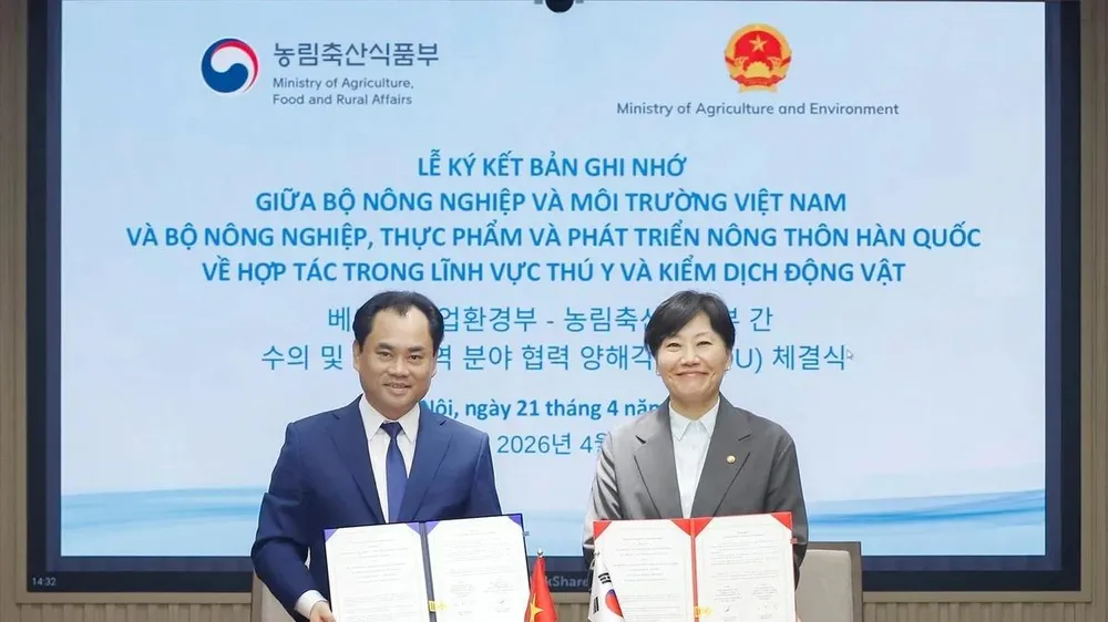 Mở cửa thị trường thịt gà, tăng chuẩn xuất khẩu sang Hàn Quốc
