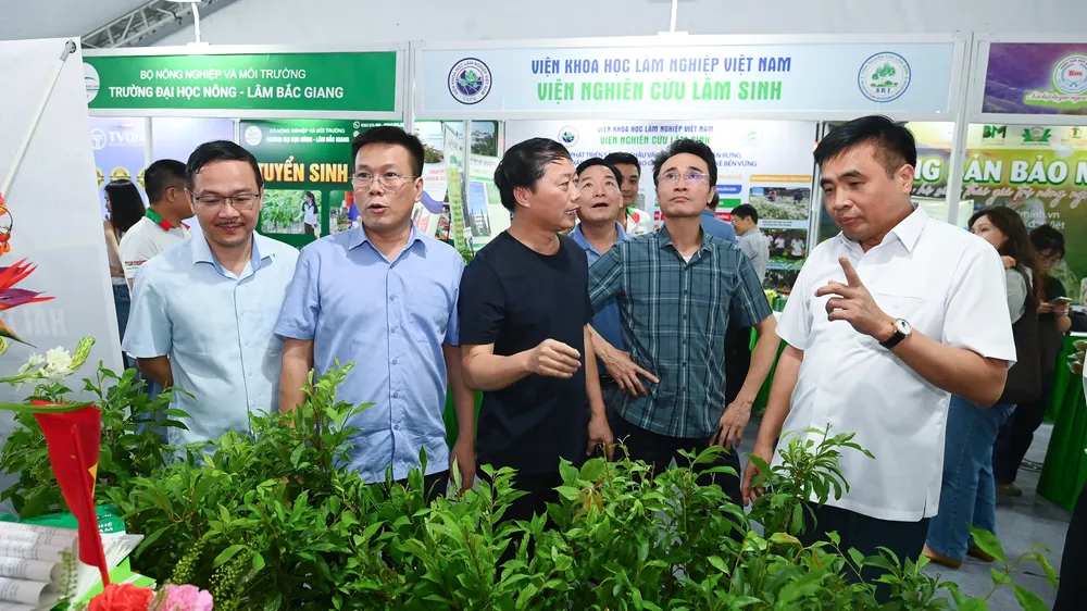 Phát triển dược liệu theo hướng hàng hóa và kinh tế xanh