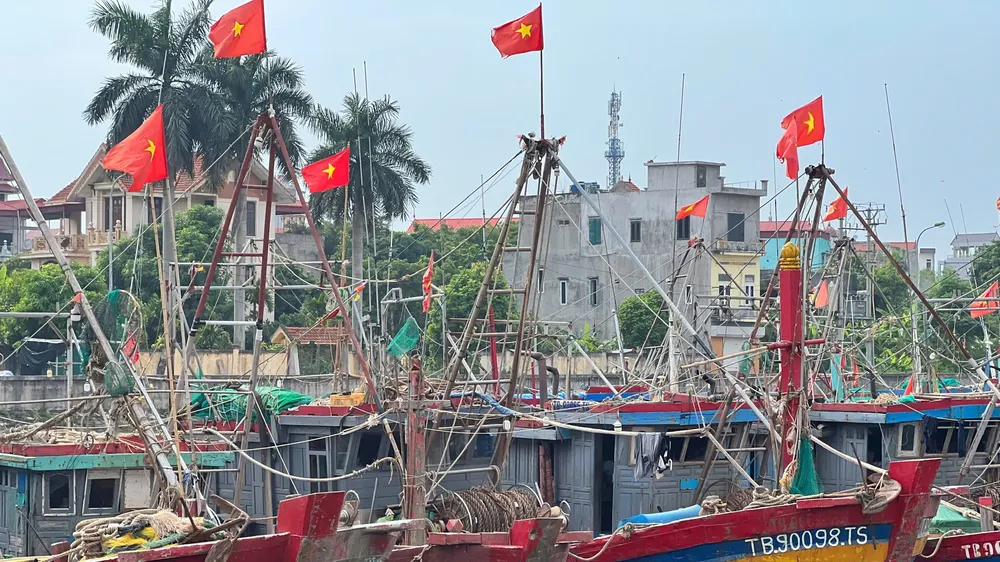 Tỉnh Quảng Ninh và Ninh Bình cấm biển từ trưa và chiều 3-7 