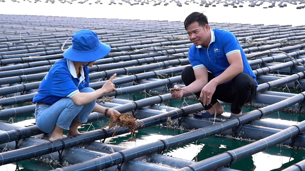 Hơn 1.200 hồ sơ giao, sử dụng khu vực biển được cập nhật trên hệ thống quốc gia