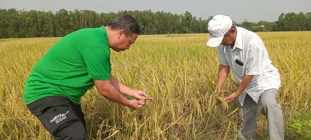 Nam bộ vẫn mưa những ngày tới, tập trung vào chiều tối
