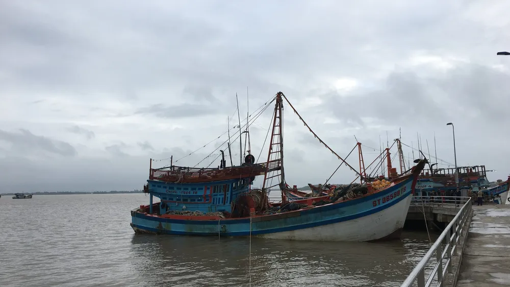 11 tỉnh, thành phố ven biển chủ động ứng phó gió mạnh, sóng lớn