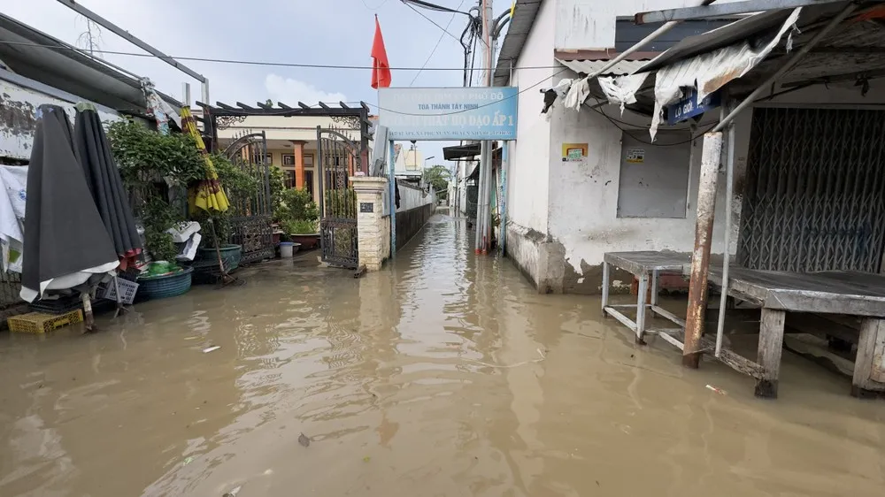 Triều cường tại Vũng Tàu có thể đạt 4,3m vào ngày 29 và 30-10