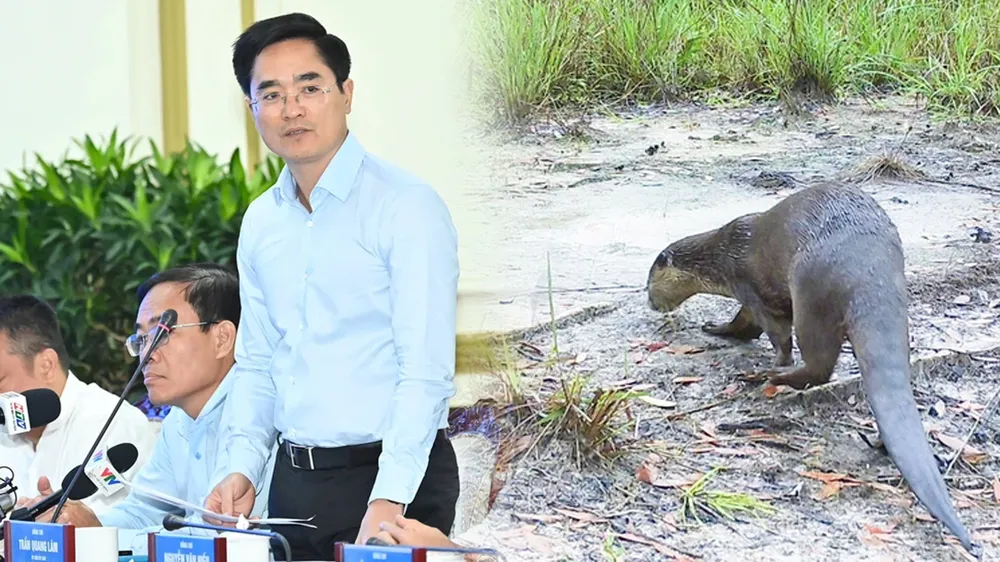 Podcast bản tin tối 2-4: Giám đốc Sở Giao thông Công chánh TPHCM nói về thu phí ô tô dưới lòng đường bị lỗ; Rái cá quý hiếm ở Vườn Quốc gia Phú Quốc