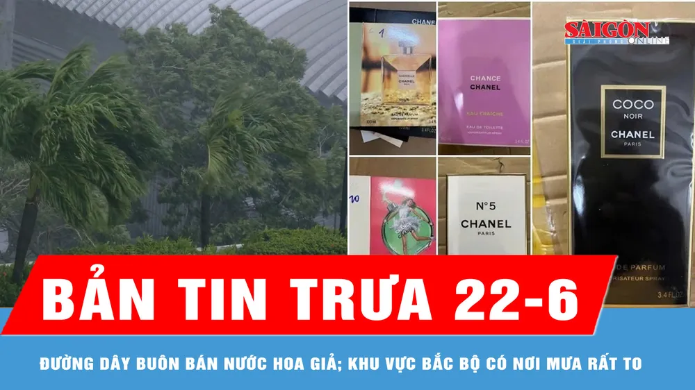 Bản tin trưa 22-6: Triệt phá đường dây buôn bán nước hoa giả; Bắc bộ có nơi mưa rất lớn