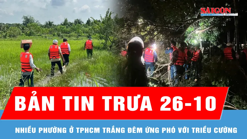 Bản tin trưa 26-10: Phường Phú An, Tây Nam (TPHCM): Trắng đêm ứng phó với triều cường