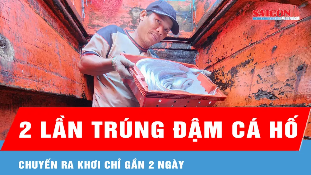 Ngư dân chia sẻ về 2 lần trúng đậm hàng tấn cá hố