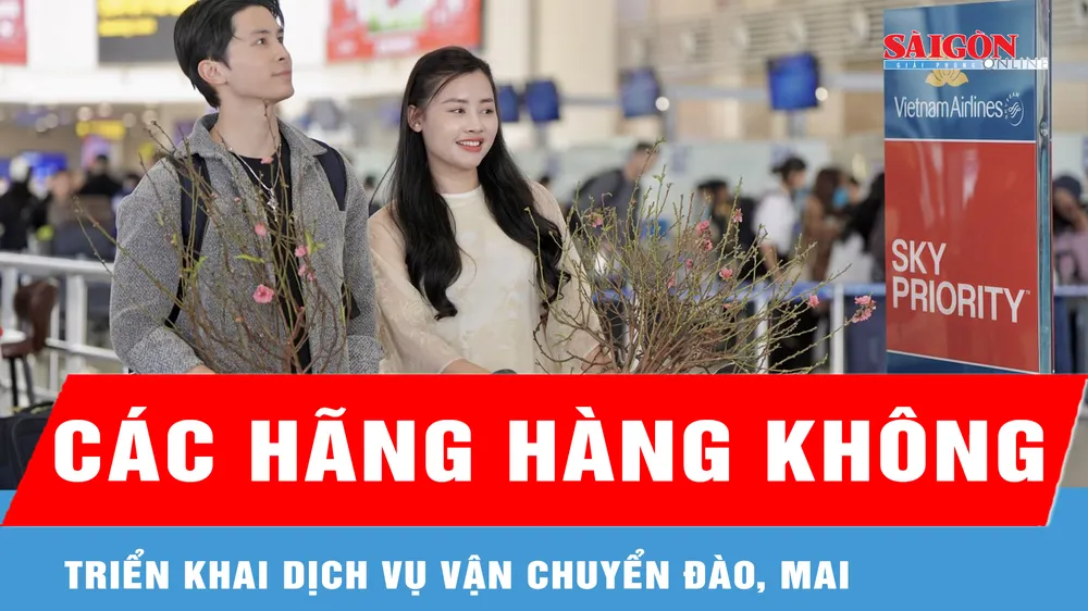 Các hãng hàng không triển khai dịch vụ vận chuyển đào, mai