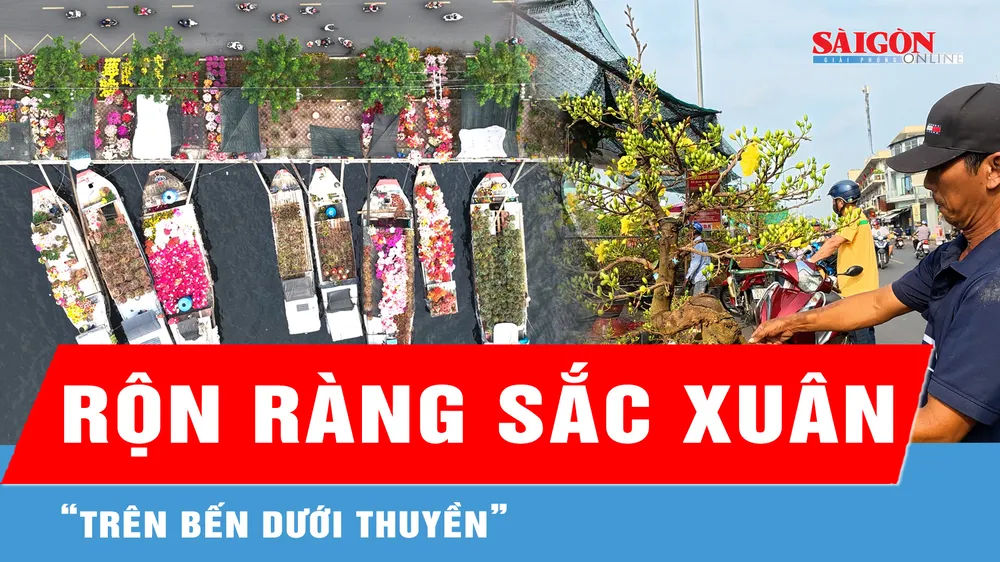 Rộn ràng sắc xuân "Trên bến dưới thuyền" Tết Bính Ngọ 2026