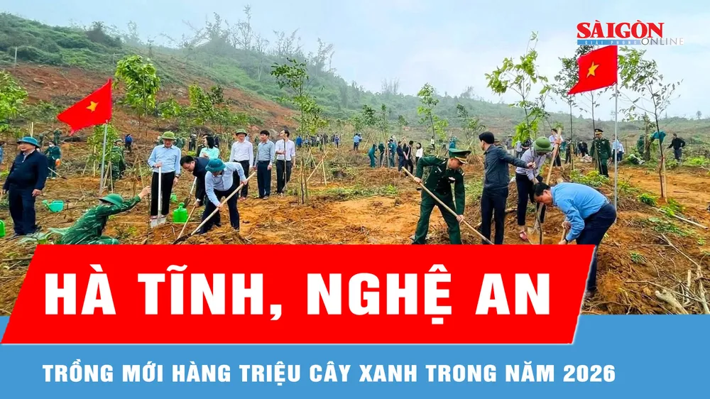 Hà Tĩnh, Nghệ An trồng mới hàng triệu cây xanh trong năm 2026