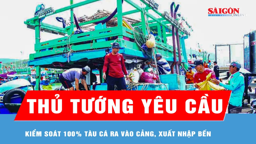 Thủ tướng yêu cầu kiểm soát 100% tàu cá ra vào cảng, xuất nhập bến 