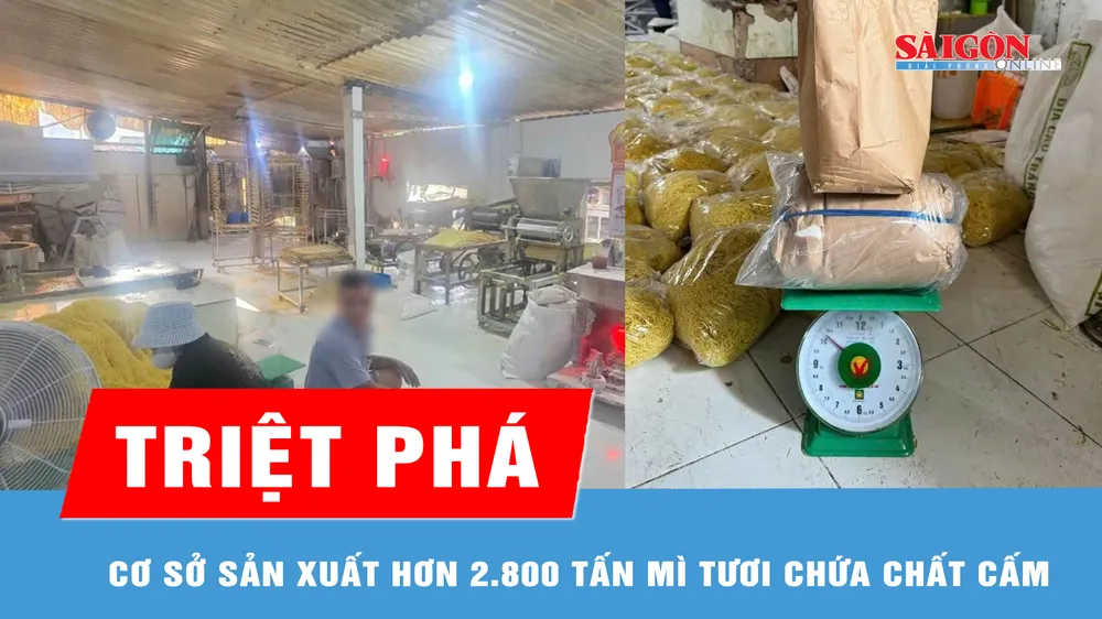 Triệt phá cơ sở sản xuất hơn 2.800 tấn mì tươi chứa chất cấm