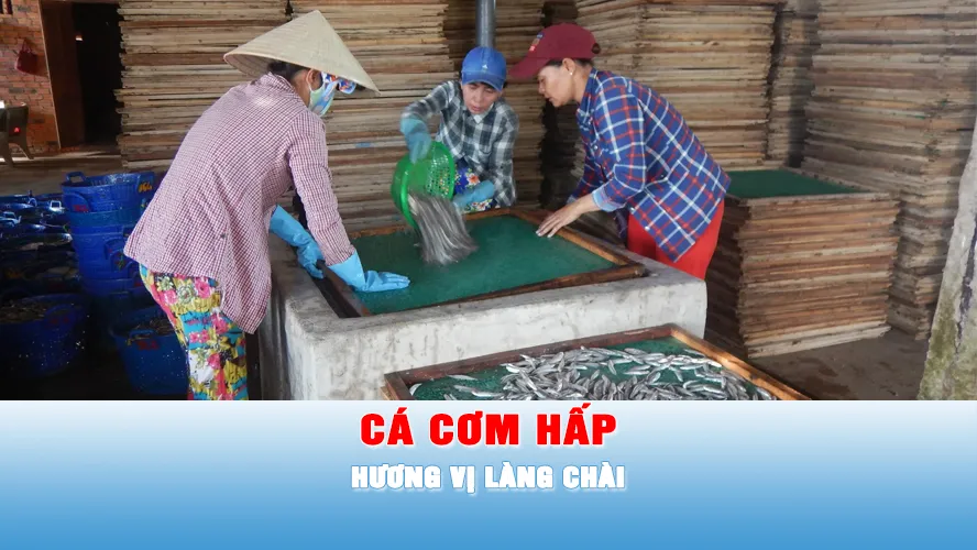 Podcast tin tối 8-5: Nhịp nhàng đưa hương vị làng chài ra sân đón nắng