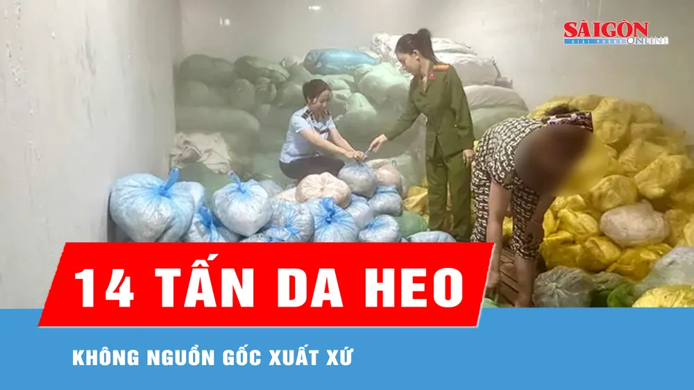 Thanh Hóa: Phát hiện hơn 14 tấn da heo không nguồn gốc xuất xứ