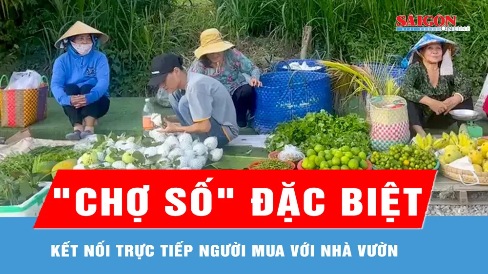 Đồng Tháp hỗ trợ nông dân đưa nông sản vào “chợ số” 