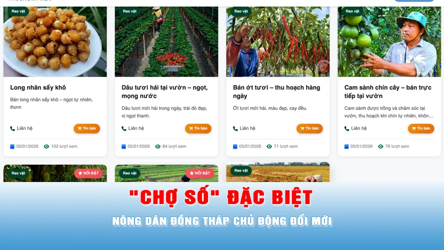 Podcast tin trưa 29-5: "Chợ số" đặc biệt giúp nông dân Đồng Tháp kết nối trực tiếp với khách hành